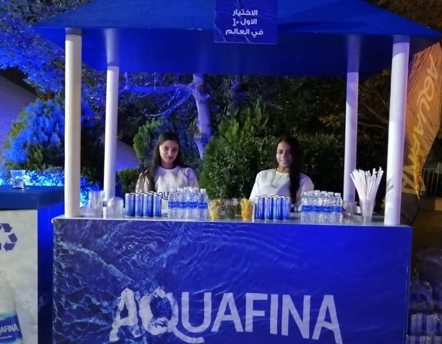 Aquafina brand activation